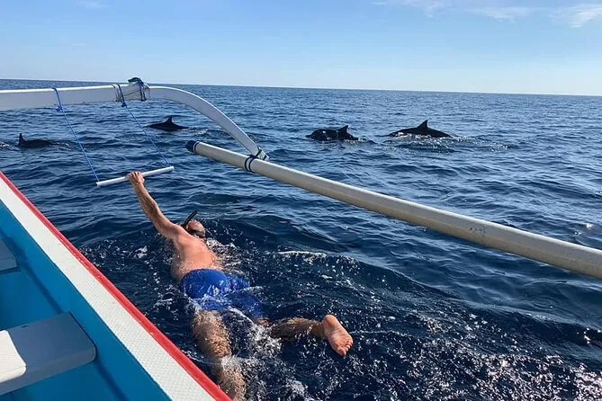Why Lovina Dolphin Watching Should Be on Your Bali Bucket List