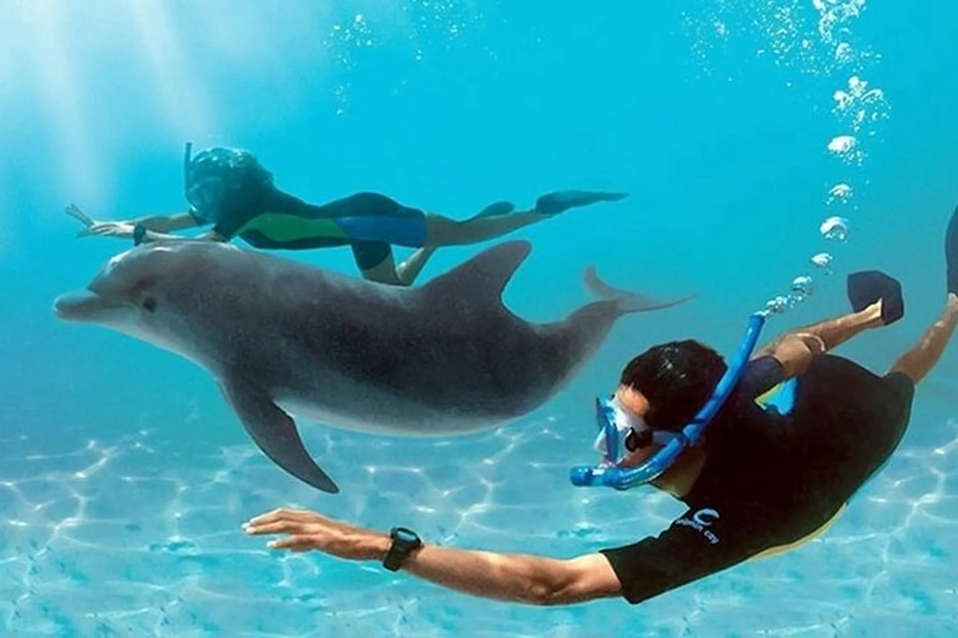 Dolphin Watching & Snorkeling Tour