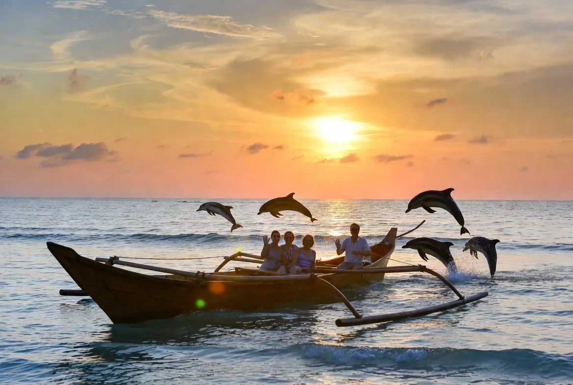 Sunrise Dolphin Watching Tour