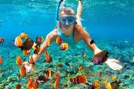 Snorkeling at Coral Reef